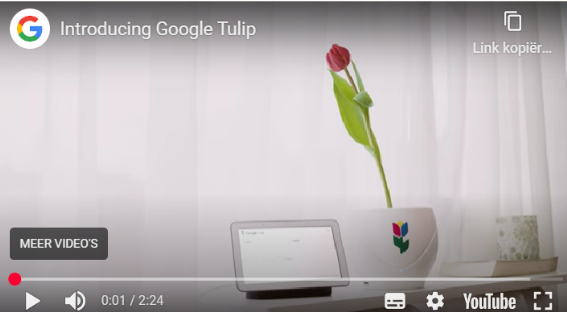 Inspiratie video voorbeeld